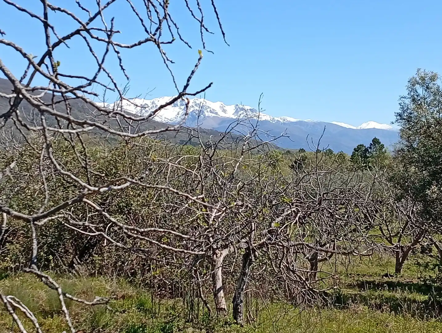 Terreni e lotti in vendita a Valverde de la Vera, imagen 76