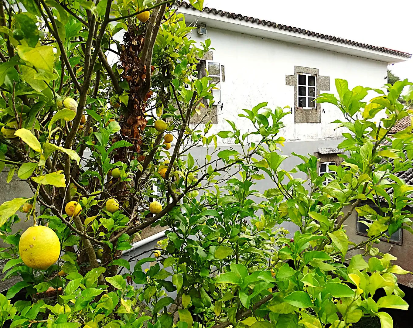 Vista exterior de Finca rústica en venda en Narón amb Calefacció, Jardí privat i Parquet