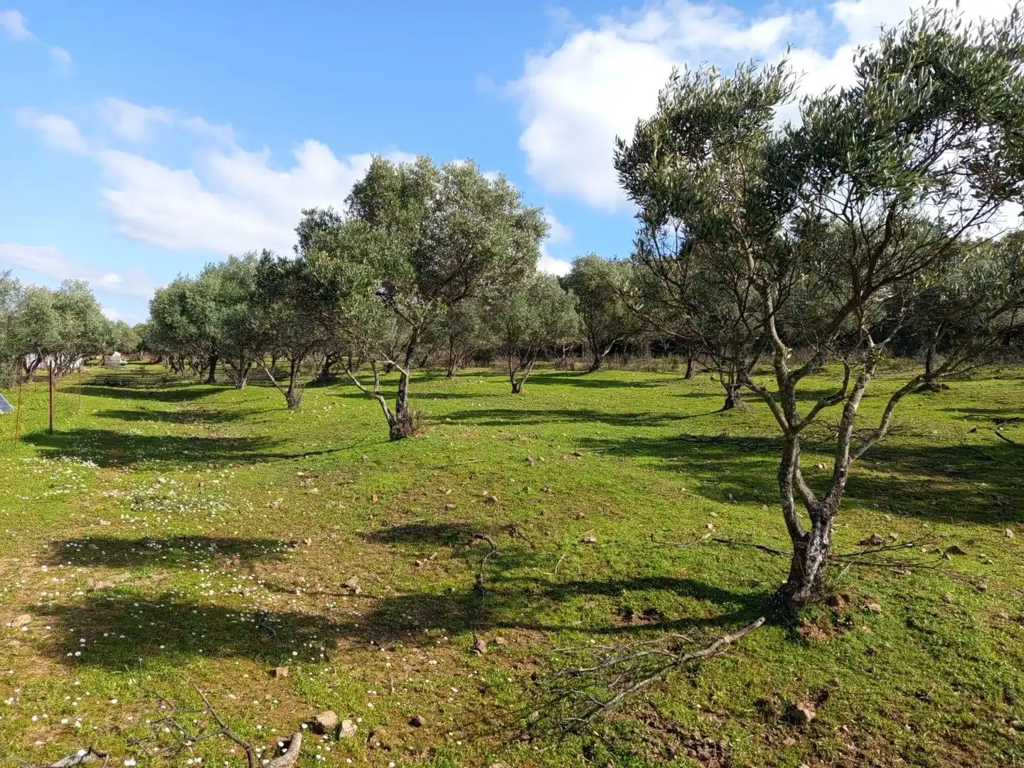 Finca rústica en venda en Almadén de la Plata amb Jardí privat
