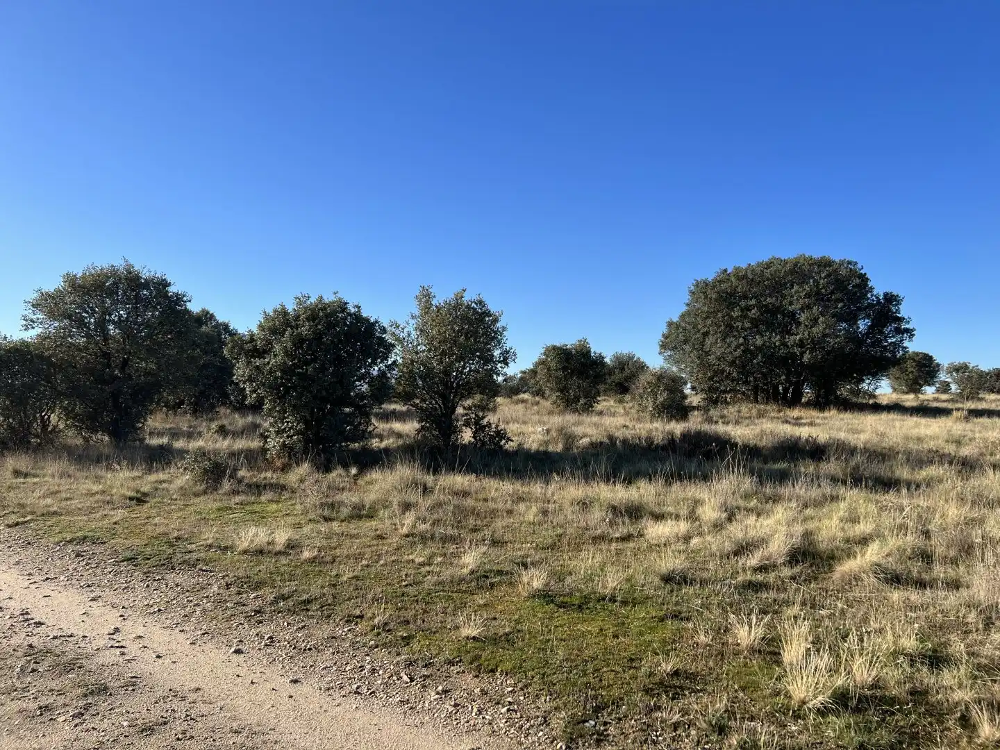 Terrenys i solars en venda a Villacastín, imagen 13