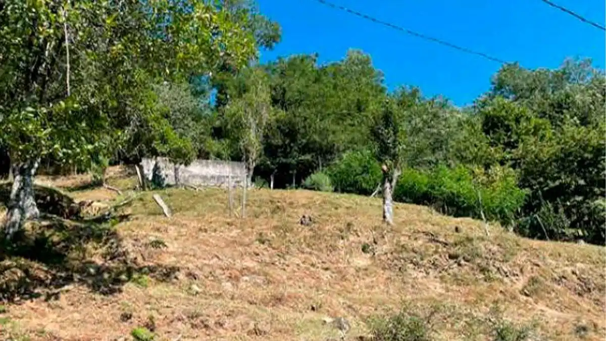 Lands and plots for sale in SITIO VIÑOTE, ARNOIS PG 508 PARC. 75, imagen 8