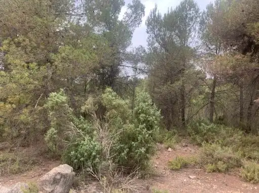 Rustikales Grundstück zum Verkauf in Paraje Fuentecil, imagen 8