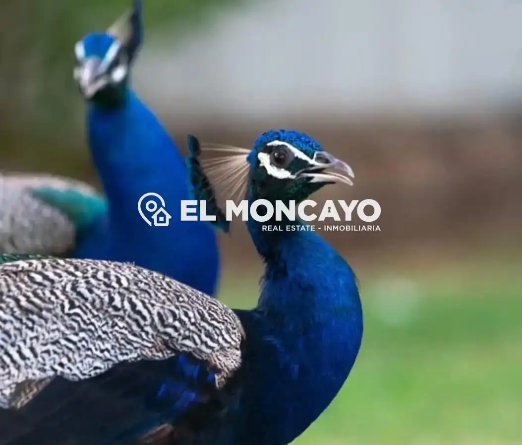 Vista exterior de Ático en venta en Guardamar del Segura con Aire acondicionado, Calefacción y Terraza