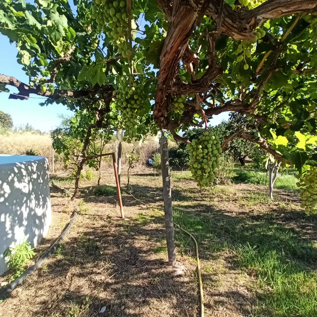 Finca rústica en venta en Reus