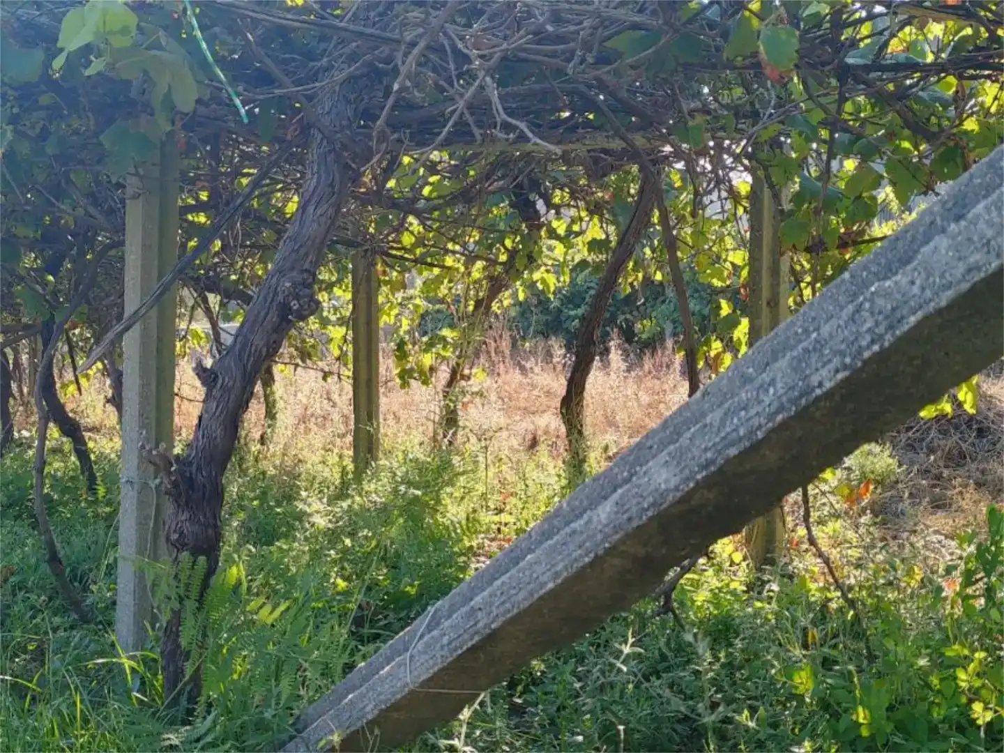 Pis en venda en Marín amb Jardí privat