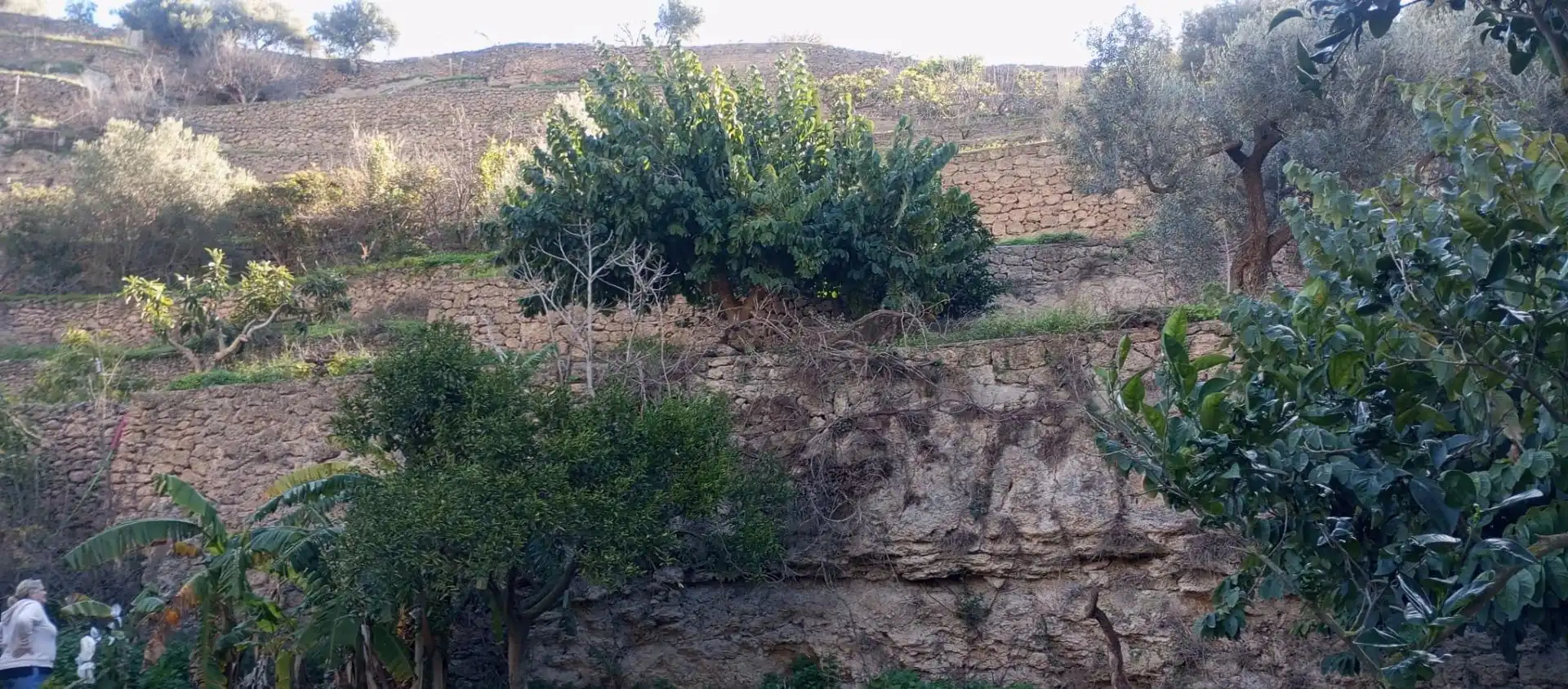 Casa rústica amb jardí en venda a Vélez de Benaudalla, imagen 24