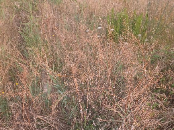 Residencial en venda en Lodosa