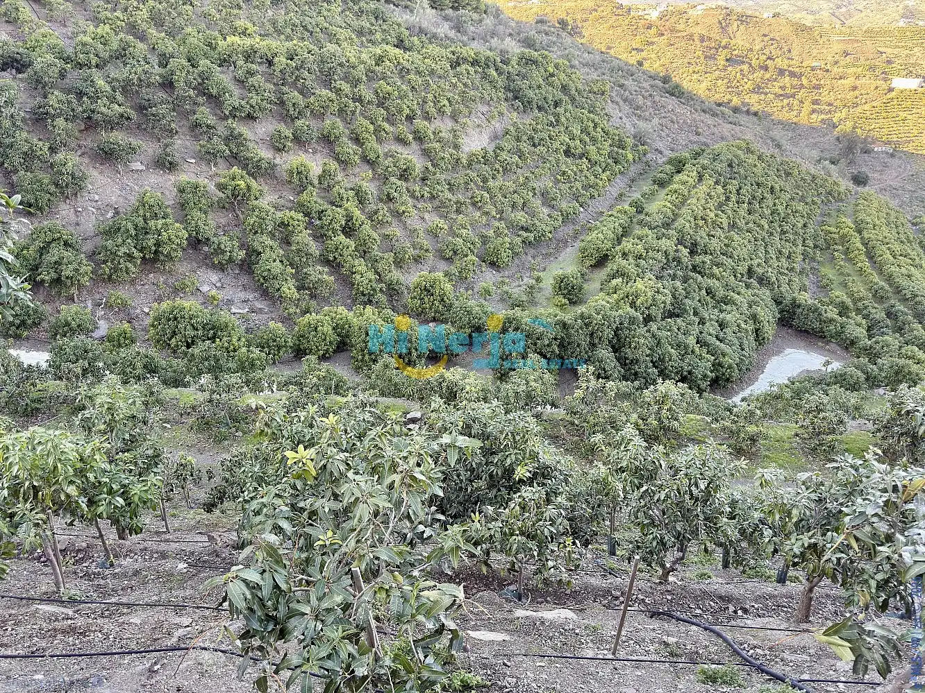 Terreni e lotti in vendita a Vélez-Málaga ciudad, imagen 24
