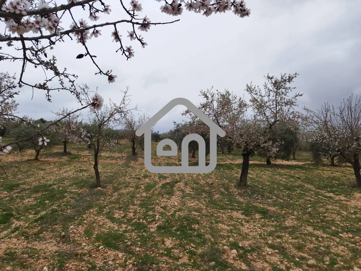 Rural land for sale in Requena, imagen 7
