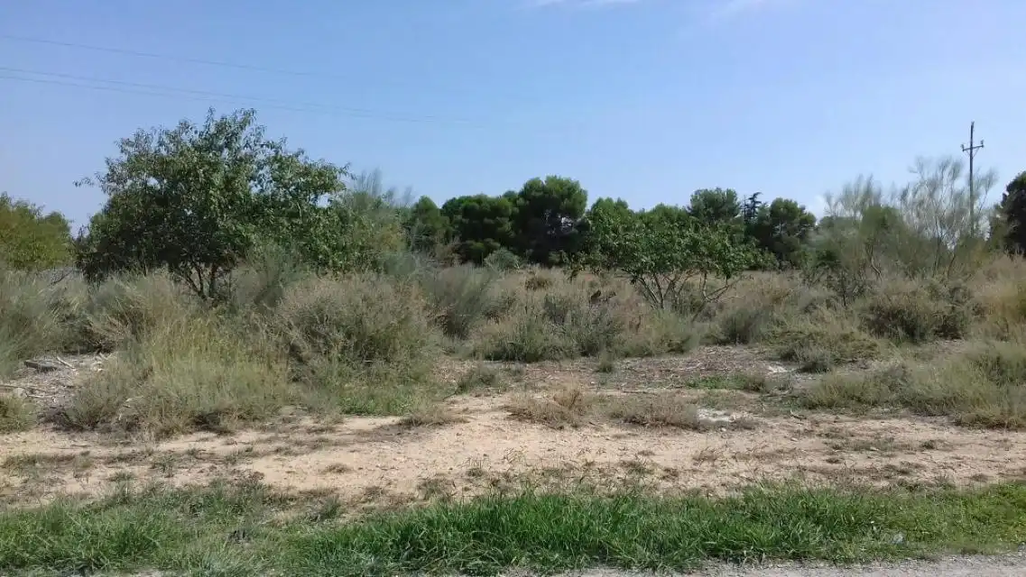 Terrenos y solares en venta en Pla de la Cerdera, imagen 5