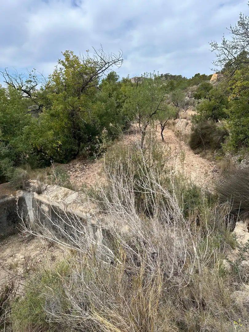 Terreno rustico in vendita a LA SIMA, imagen 5