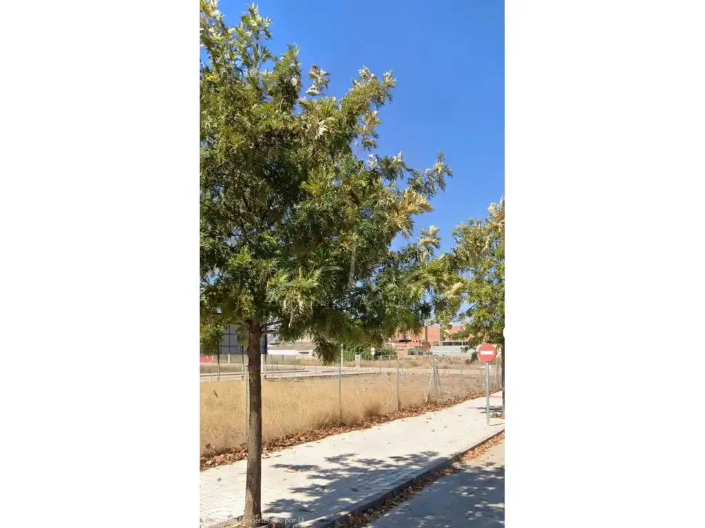 Terreno residenziale in vendita a Puerto de Sagunto, imagen 6