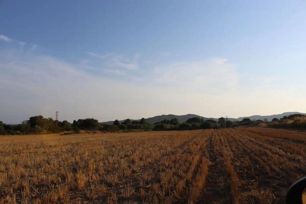 Terreno rústico en venta en Banyeres del Penedès, imagen 7