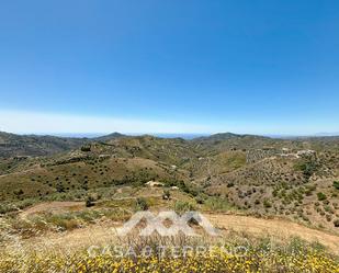 Land for sale in Canillas de Albaida
