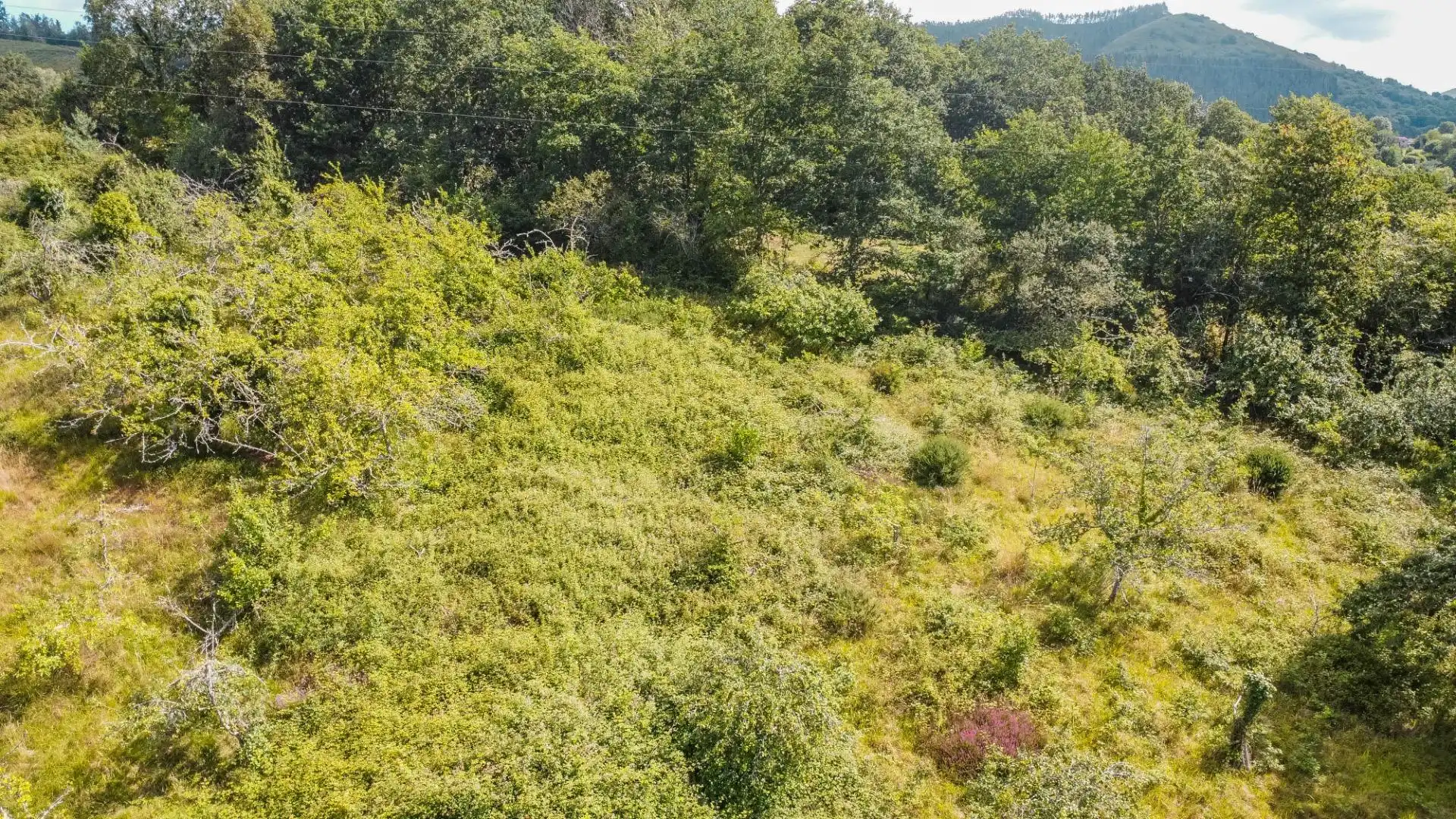 Rural land for sale in del pareo, imagen 41