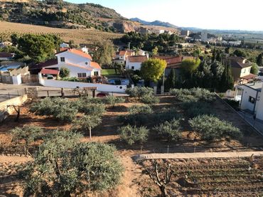 Terreno residenziale in vendita a Norte