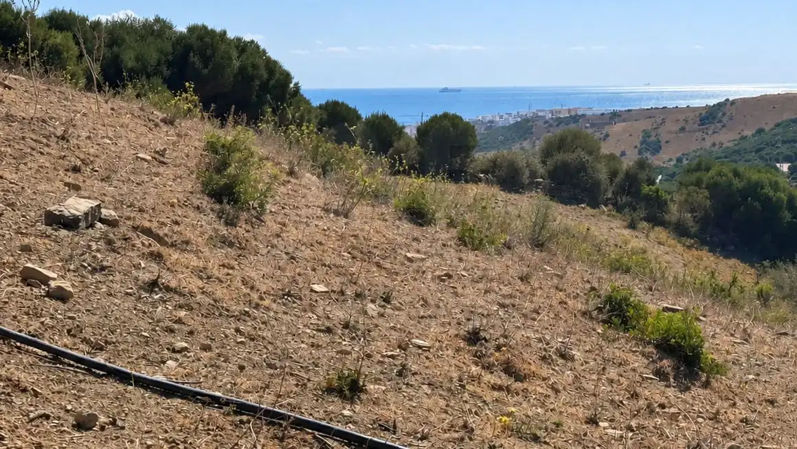 Maison à vendre à Tarifa ciudad, imagen 7
