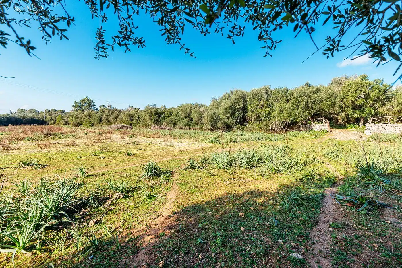 Country homes for sale in Inca