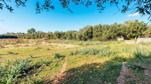 Photo 3 of Country house for sale in Cristo Rey - Parque Europa, Inca