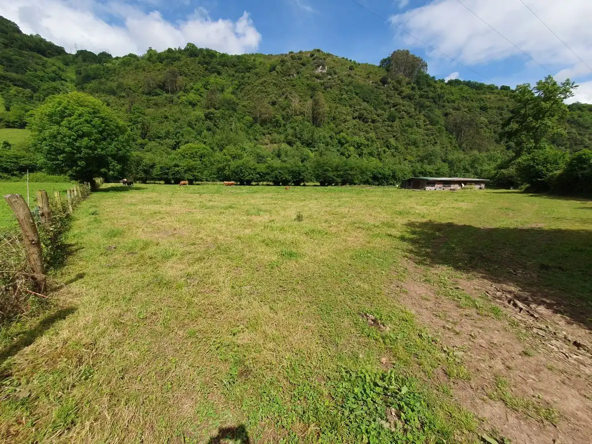 Rustikales Grundstück zum Verkauf in San Claudio - Trubia - Las Caldas, imagen 4