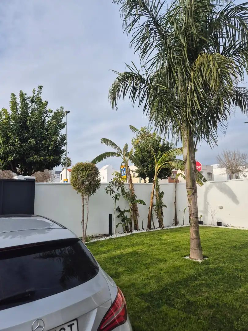 Vista exterior de Casa o xalet en venda en Bormujos amb Jardí privat i Terrassa