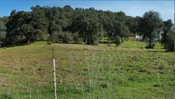 Terreno en venta en San Nicolás del Puerto