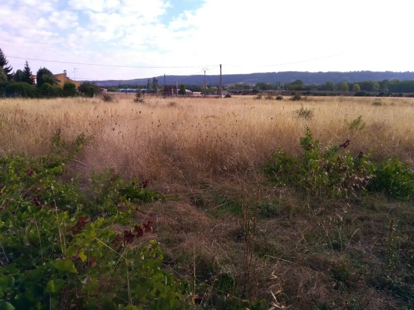 Terreni e lotti in vendita a Garrafe de Torío, imagen 5