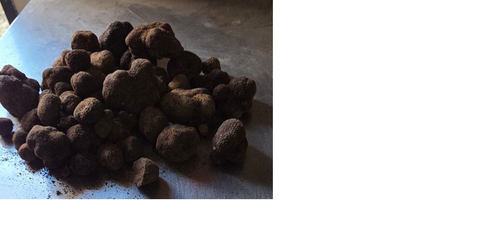 Jardín de Terreno en venta en Las Parras de Castellote