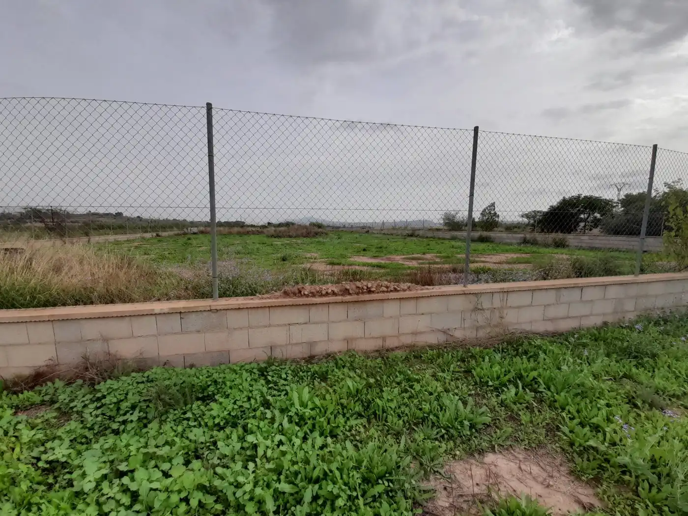Casa o xalet en venda en Novelda amb Terrassa i Alarma