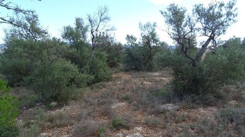 ¡Immomax Ebre presenta esta finca rústica en venta en Aldover! Con un extenso terreno de 33,072 m2, este pedazo de paraíso rural e, imagen 4