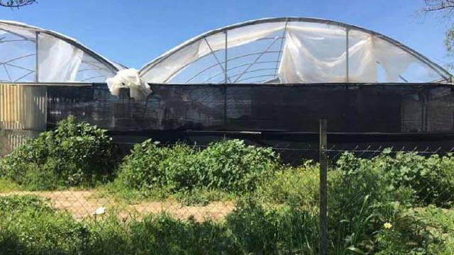 Terreno en Venta en Pj La Cerca  en Pedanías Norte