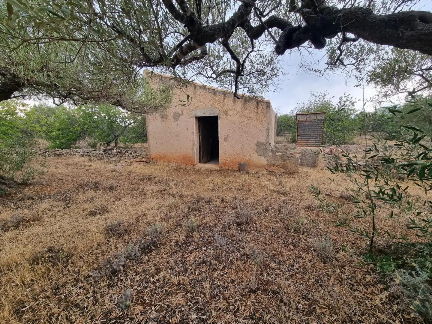 Finca rústica en venta en L'Ametlla de Mar 