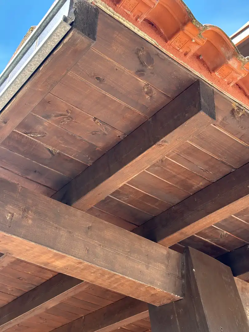 Jardí de Casa adosada en venda en Traspinedo amb Calefacció i Terrassa