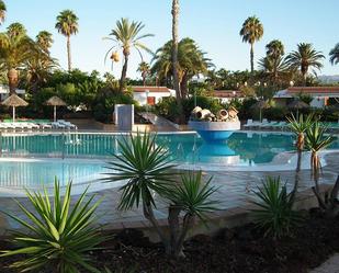 Piscina de Casa o xalet en venda en San Bartolomé de Tirajana amb Aire condicionat, Terrassa i Moblat