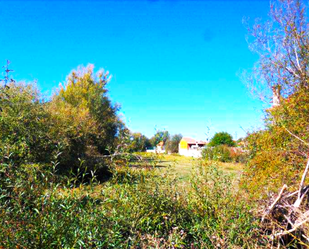 Land for sale in León Capital 