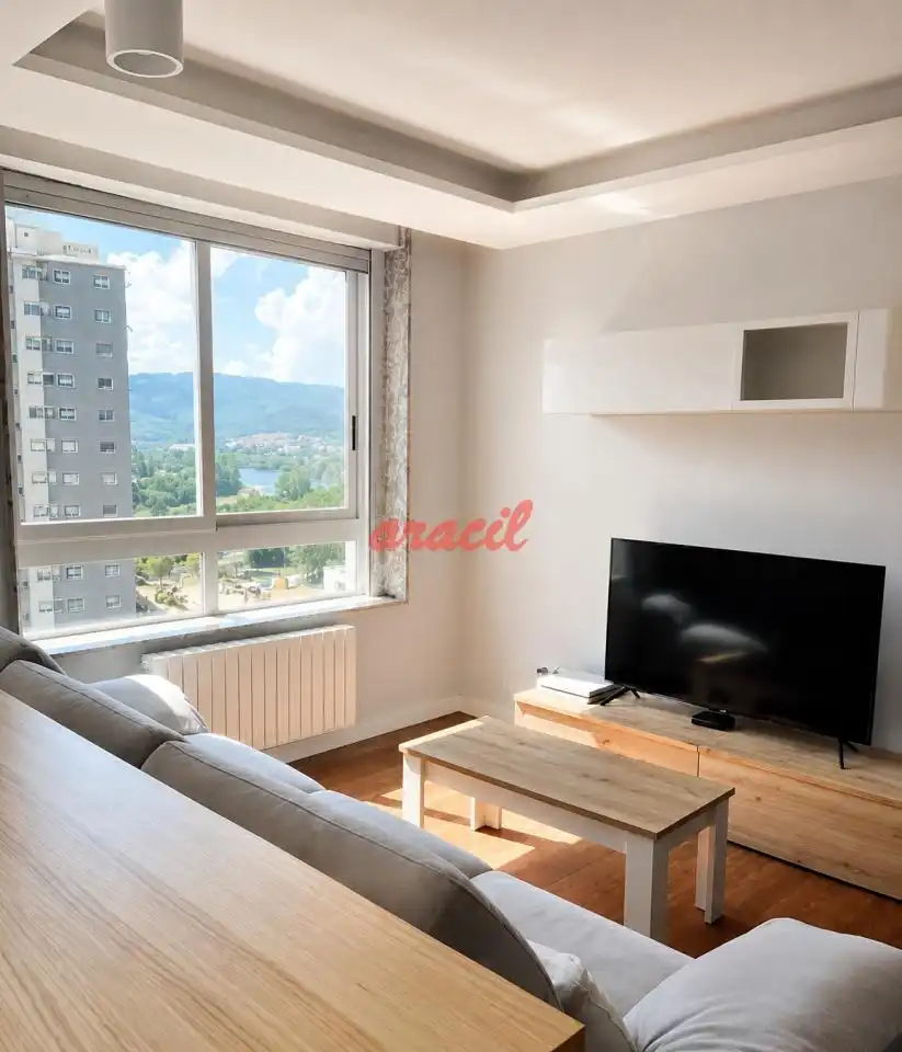 Sala de estar de Apartamento en venta en Ourense Capital  con Calefacción y Balcón