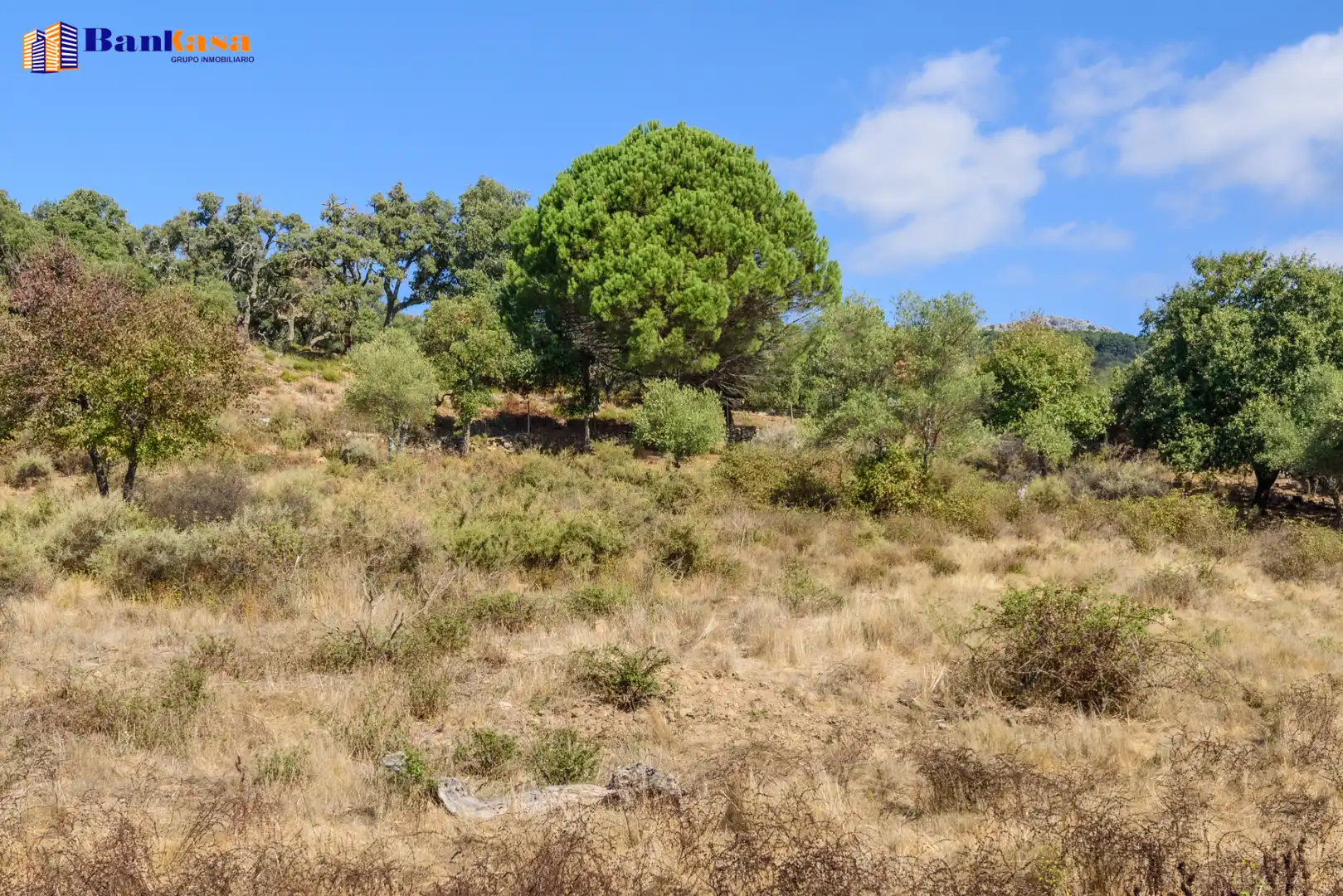 Casa o xalet en venda en Cortes de la Frontera amb Calefacció, Jardí privat i Moblat