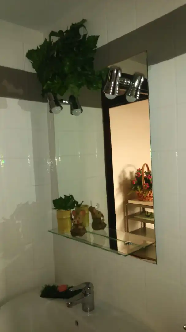 Baño de Apartamento de alquiler en Zaragoza con Calefacción, Parquet y Amueblado