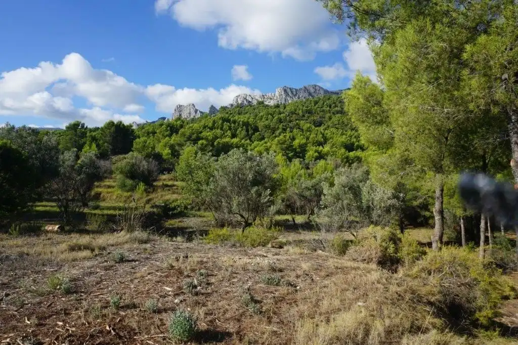 Land for sale in El Castell de Guadalest
