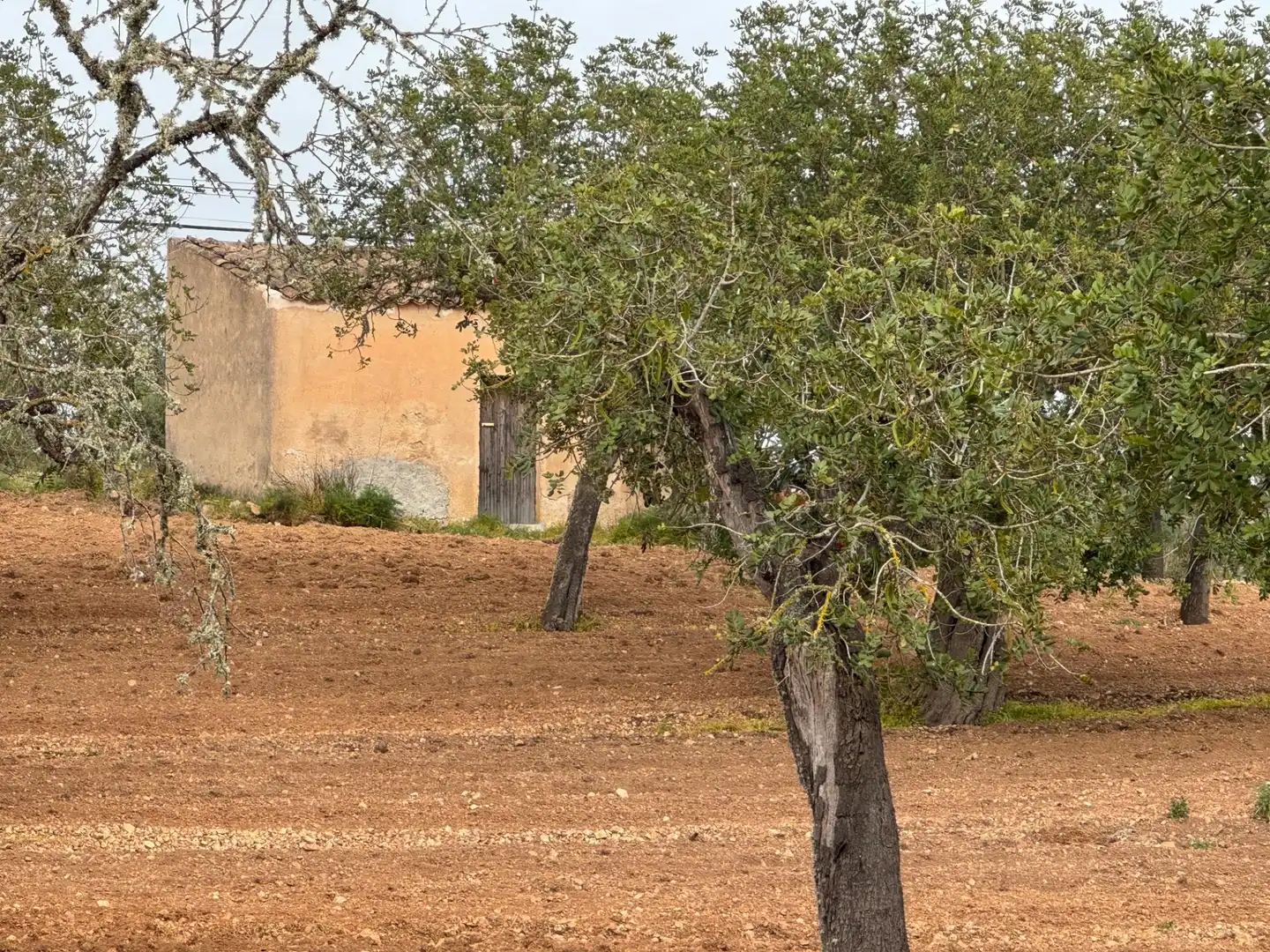 Rustikales Grundstück zum Verkauf in Camino Camí Vell de Porreres 2, imagen 31