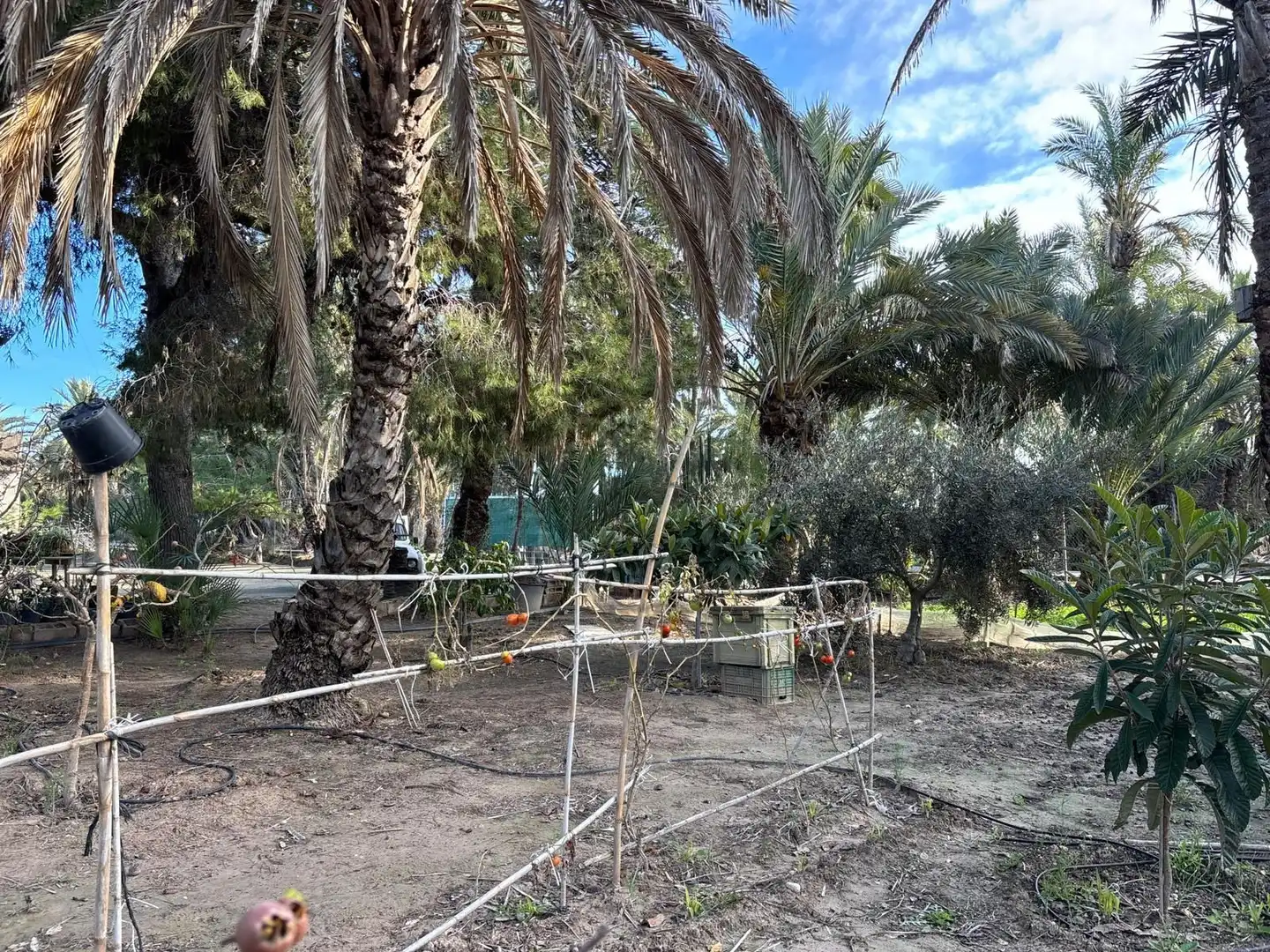 Finca rústica en venda en Elche / Elx