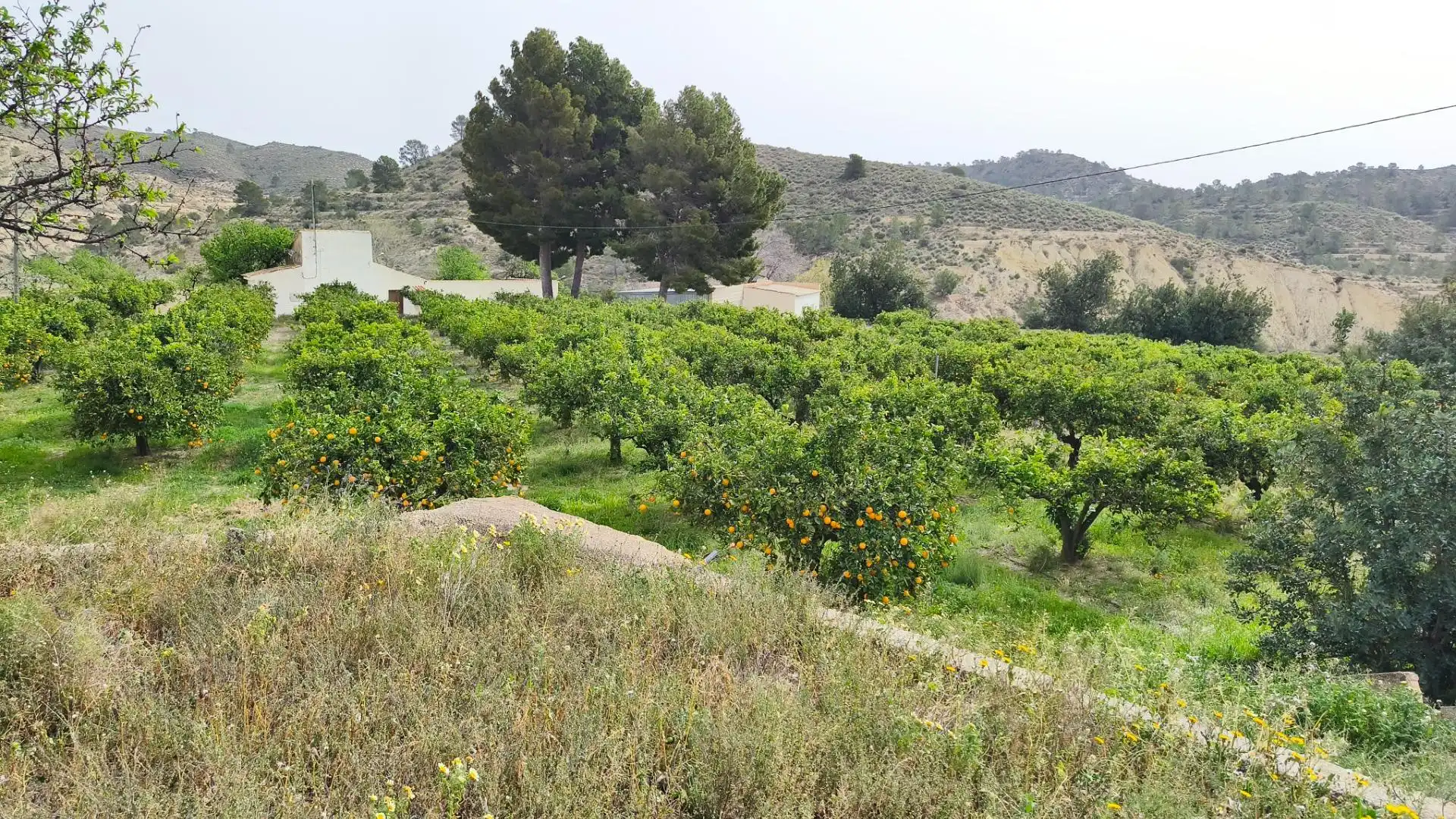 Finca rústica en venta en Aigües con Jardín privado
