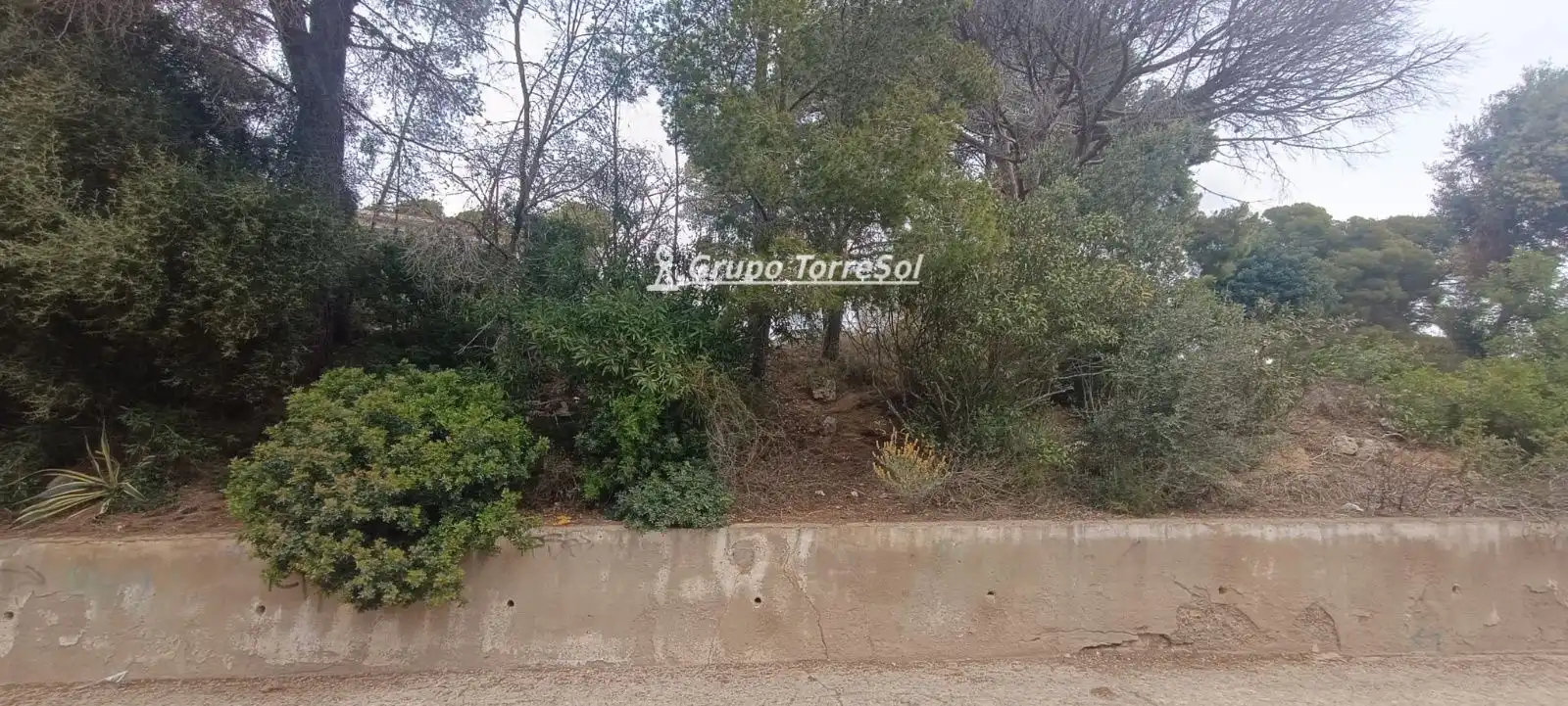 Rural land for sale in SAL, imagen 2