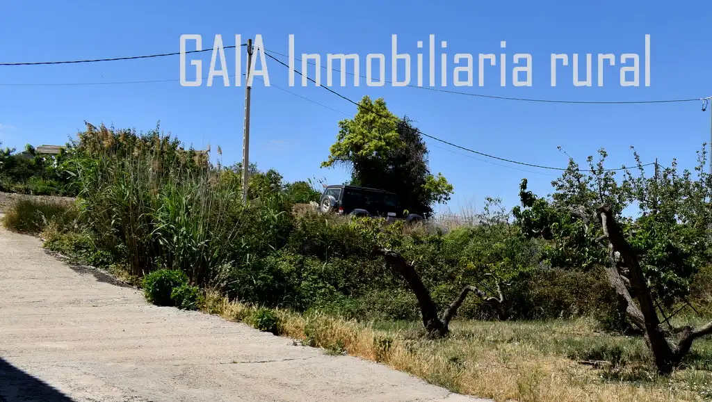 Terreni e lotti in vendita a Maella, imagen 8