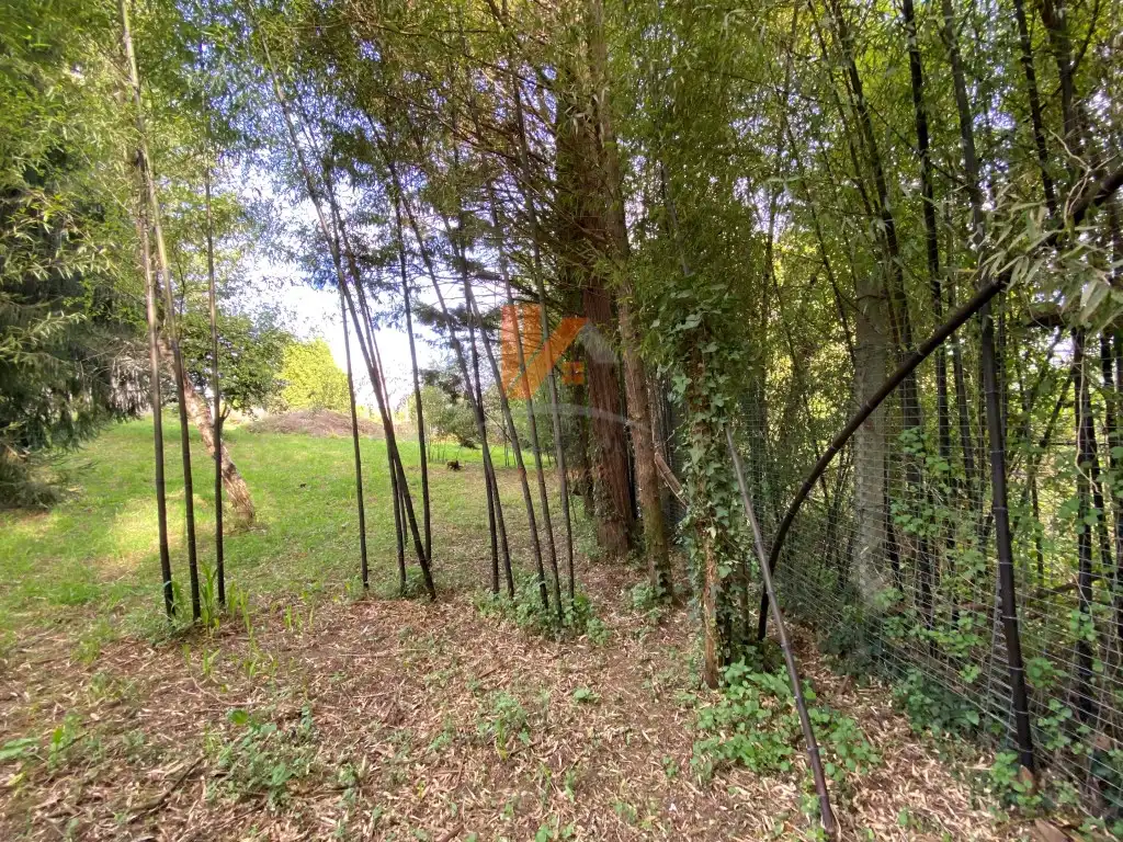 Casa o xalet en venda en Ames