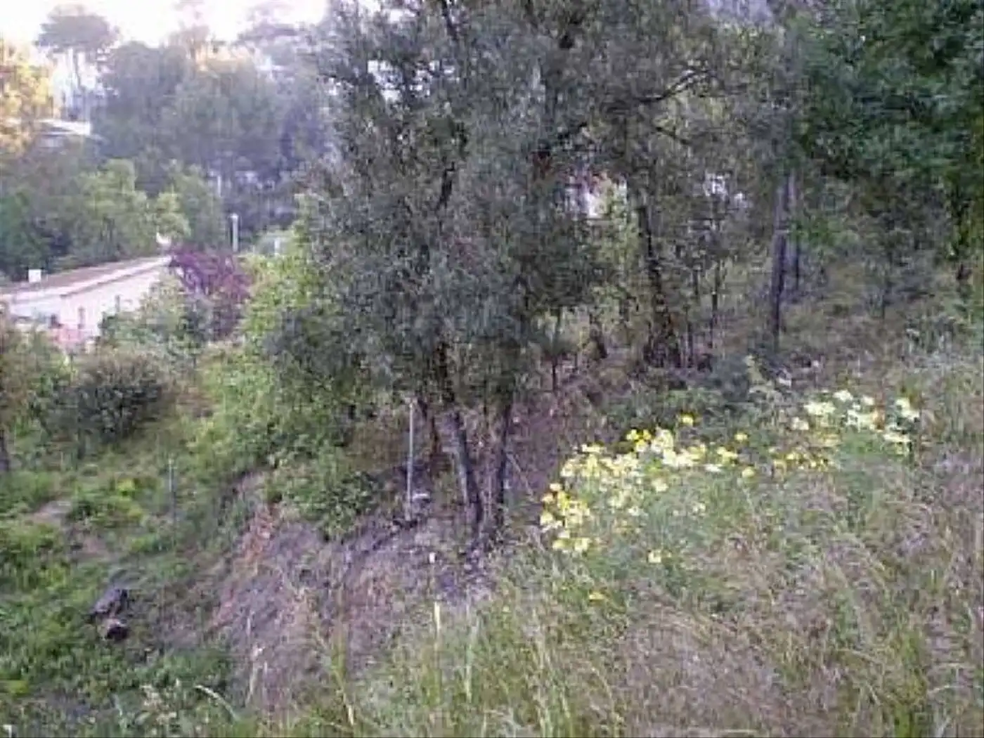 Wohnbaugrundstück zum Verkauf in Cervelló, imagen 8