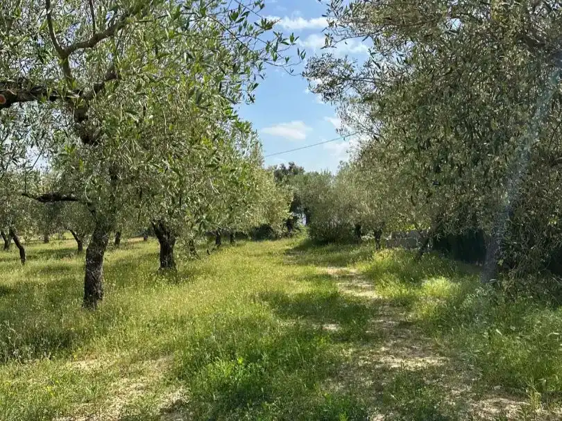 Country house zum Verkauf in San Jorge / Sant Jordi mit Klimaanlage und Schwimmbad