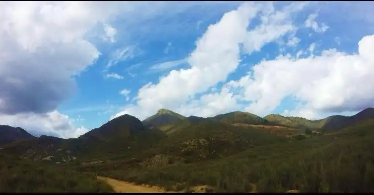Terreny rústic en venda a Tébar - Los Arejos, imagen 13