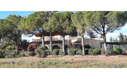 Country house for sale in Torre-Pacheco