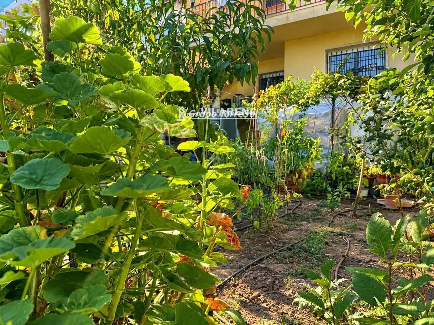 Jardí de Casa adosada en venda en Marítima Sud